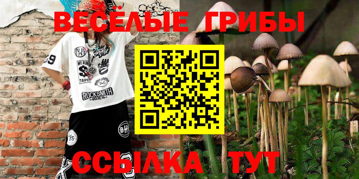 Галлюциногенные грибы MAGIC MUSHROOMS  Галлюциногенные грибы Psilocybe  Долгопрудный  Вход с VPN 